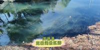 洱源县茈碧湖景区游