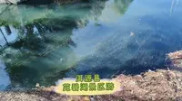 洱源县茈碧湖景区游