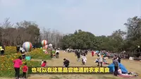 成都石象湖等你来！赏花、品茶、漫步林间，尽享惬意生活！