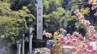 平利桃花溪景区门票特价票优惠团购票游玩攻略免票政策营业时间安康旅游