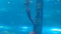 洛阳龙门海洋馆