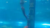 洛阳龙门海洋馆