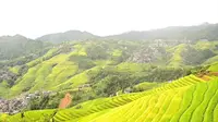 尼康z62+24-120原图直出，桂林龙脊梯田金坑大寨，超漂亮的金秋十月