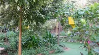 北京冷门景点—呀路古热带植物园，冬天不用飞到云南了