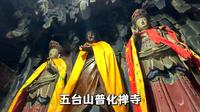 五台山普化禅寺，一座道教改佛教的佛道合一寺观，内有小猫可领养