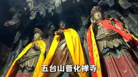 五台山普化禅寺，一座道教改佛教的佛道合一寺观，内有小猫可领养