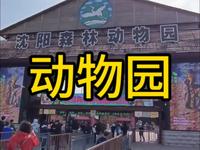 沈阳森林动物园还值不值得游玩！