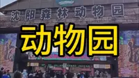 沈阳森林动物园还值不值得游玩！