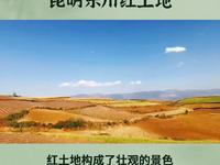 摄影爱好者的天堂：昆明东川红土地，你去过吗？