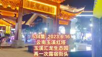 534集 云南玉溪红塔 玉溪汇龙生态园 再一次露宿街头