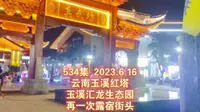 534集 云南玉溪红塔 玉溪汇龙生态园 再一次露宿街头