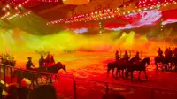 台上一分钟台下十年功——千古马颂（内蒙古2023）马术巅峰表演