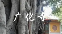 莆田南山广化寺