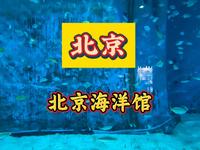 北京海洋馆