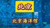北京海洋馆