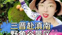 三晋赴滇南，野象谷景区一日游！