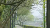 【绍兴·兰亭】风景宣传片