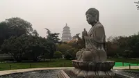 西安大慈恩寺遗址公园，银杏叶子已经黄了，错过了就要再等一年