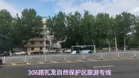 齐齐哈尔扎龙自然保护区旅游专线：306路，票价20元