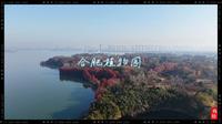 合肥植物园风景