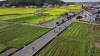 春日骑游——长沙望城茶亭油菜花海