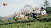 双江拉祜族佤族布朗族傣族自治县成立40周年专题片《茶香双江》上线！