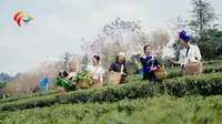 双江拉祜族佤族布朗族傣族自治县成立40周年专题片《茶香双江》上线！