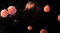 漯河雪霁花海公园！值得一看