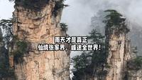 4月5日张家界国家森林公园实况，不要担心下雨！雨天才是真正的仙境张家界，峰迷全世界！