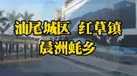 打造"蚝情万丈"康养胜地，汕尾城区晨洲村，“中国蚝乡”之美誉