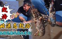 再次上北港岛找皮皮虾，没想到竟然还发现了“大龙虾”