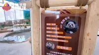 乌鲁木齐大熊猫馆大揭秘！从室内豪宅到户外乐园全攻略 乌鲁木齐大熊猫馆全景揭秘，室内场馆、户外乐园配套齐全，大熊猫“德瑞”“宝元”入住新家，一个视频带你解锁打卡