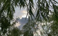 上海人少景美，免费游玩的地方-西沙明珠湖景区