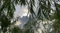 上海人少景美，免费游玩的地方-西沙明珠湖景区