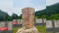 茅荆坝森林公园