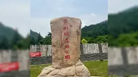 茅荆坝森林公园