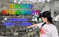 参观君乐宝乳业现代示范挤奶大厅，感叹工业化程度真高