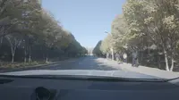 红光山景区_1