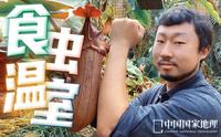 全球四分之三的食虫植物种类都在这个梦幻温室里！