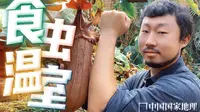 全球四分之三的食虫植物种类都在这个梦幻温室里！