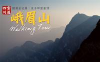 峨眉山徒步全记录，雷洞坪至太子坪｜4K超清高画质第一人称视角登山