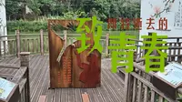 湖南南岭植物园vlog