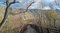 拉鲁湿地国家级自然保护区