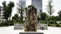 任城八景——浣笔泉
