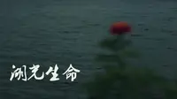 湖光生命-广东省湛江市湖光岩