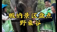 西双版纳景区盘点之野象谷
