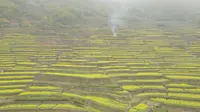 浙江上虞覆栀山景区