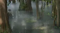 【武汉东湖4k】落雁景区，九曲桥