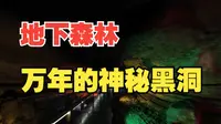 镜泊湖火山口地下森林公园-熔岩洞-熔岩隧道