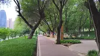夏日的沙澧河风景区